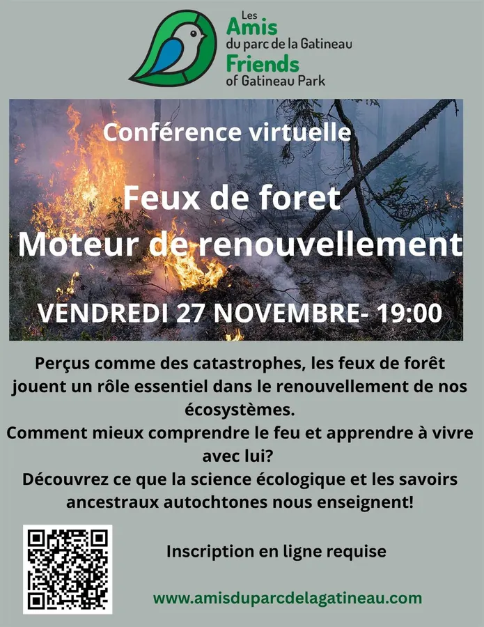 Feu de forêt Moteur de renouvellement