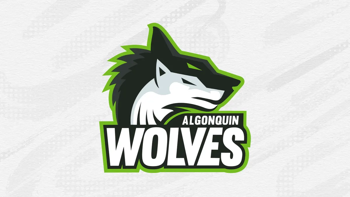 Varsity Basketball: Algonquin Wolves vs. St. Lawrence Surge